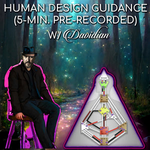 5-minute Pre-Recorded Human Design Personalized Guidance - Foxy5D